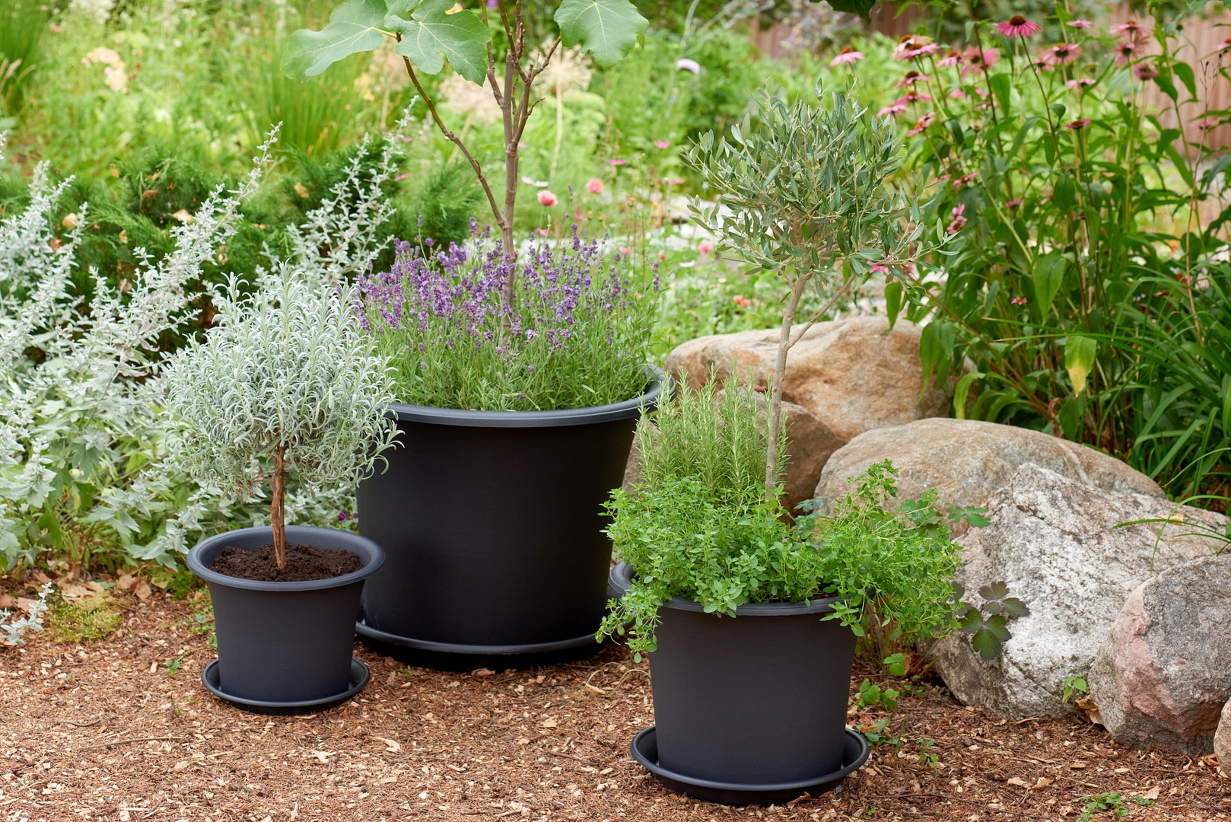 Pots