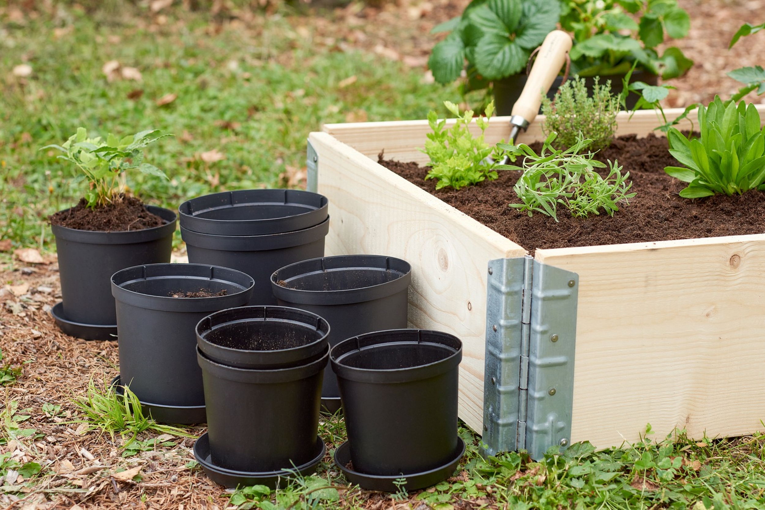 Basic pots