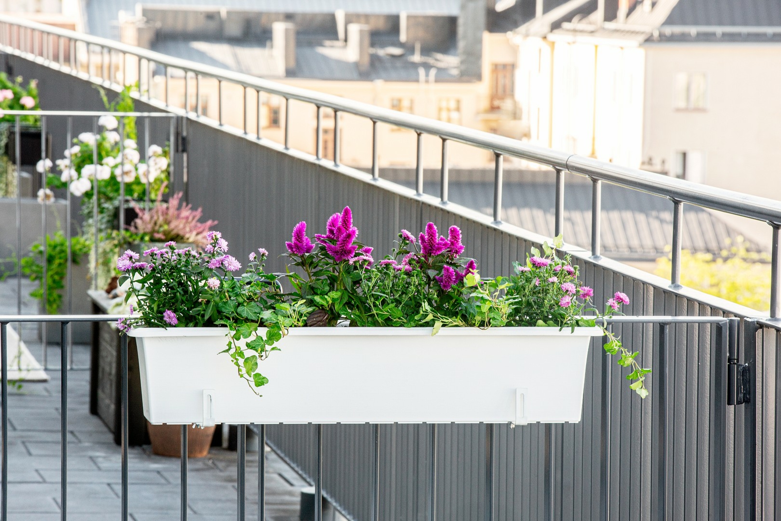 Window boxes