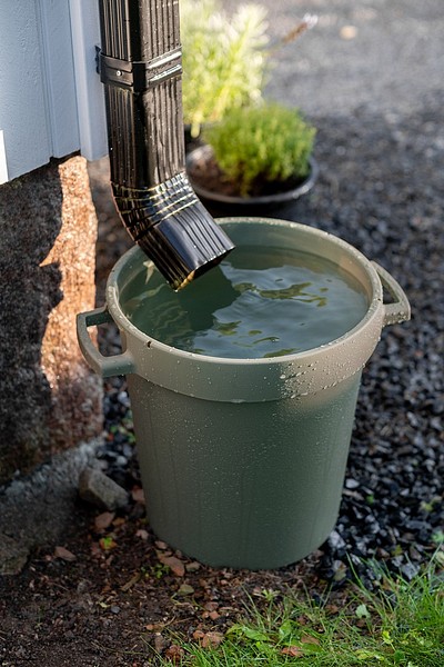 Orthex water bin under the downspout
