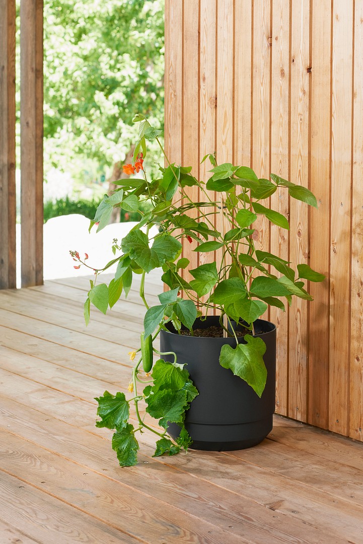 Paulina self-watering pot on a terrace