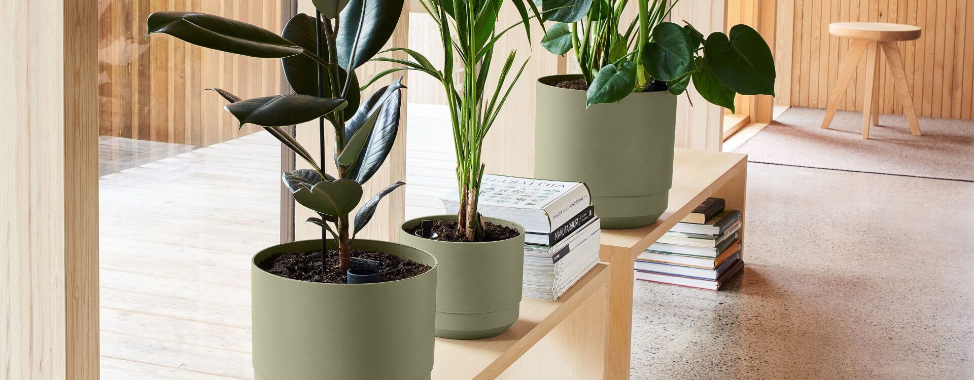 Paulina self-watering pots make green living simple