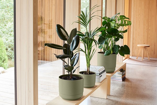 Paulina self-watering pots make green living simple