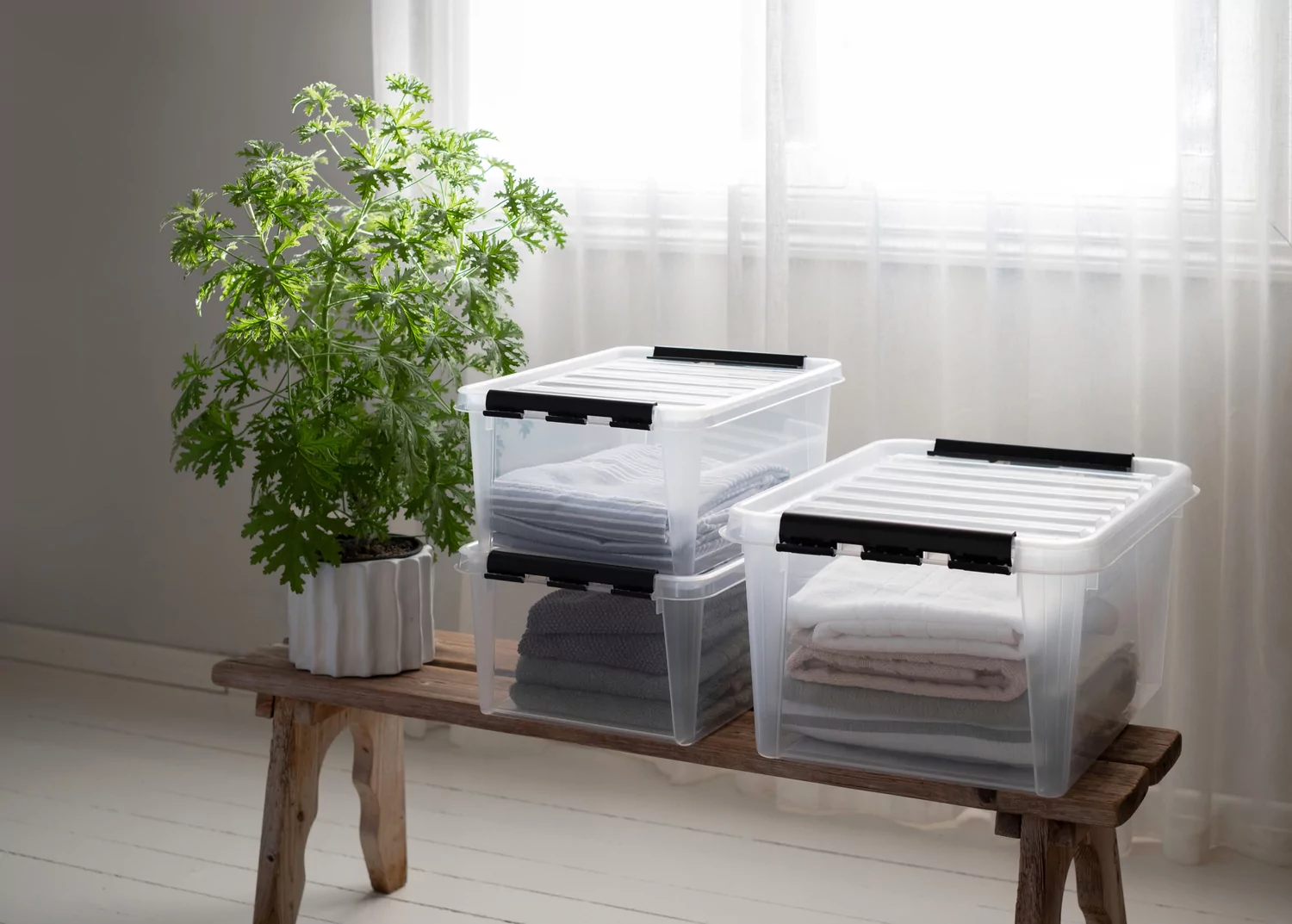 Clear the winter chaos